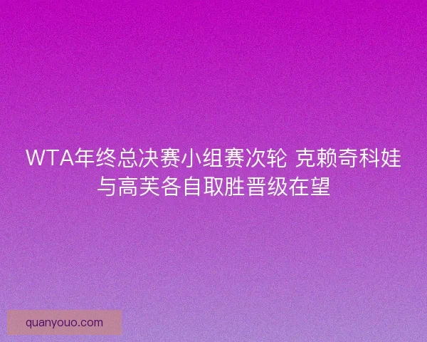 WTA年终总决赛小组赛次轮 克赖奇科娃与高芙各自取胜晋级在望