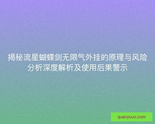 揭秘流星蝴蝶剑无限气外挂的原理与风险分析深度解析及使用后果警示